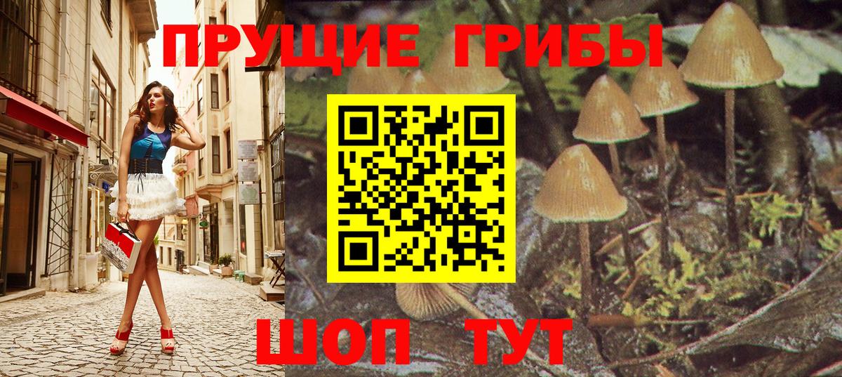 Галлюциногенные грибы прущие грибы  Вход с VPN  Славгород 