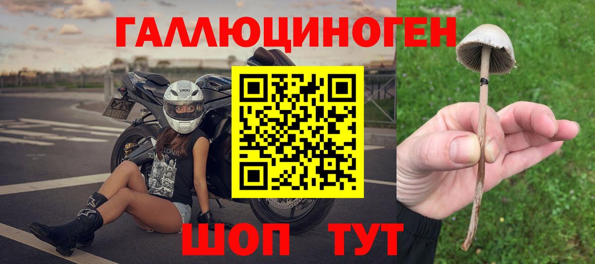 Славгород  КОКАИН  МЕФ   ГАШ  Вход с VPN  МАРИХУАНА 