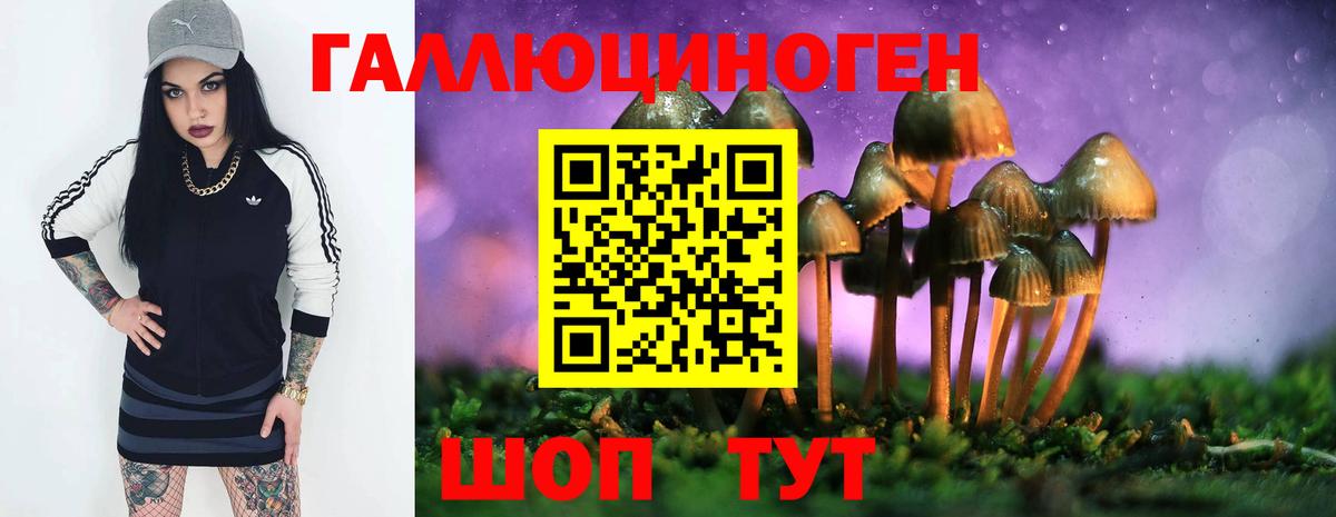 Марихуана Славгород