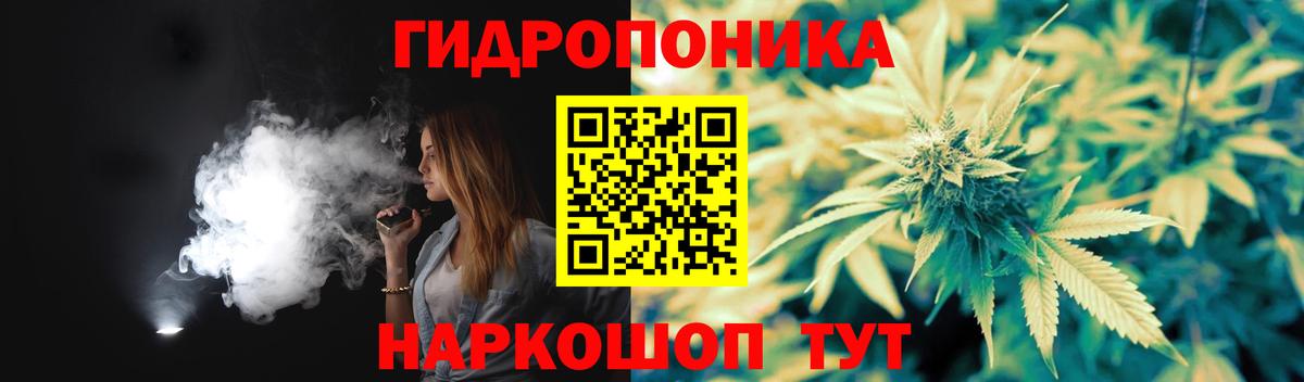 Каннабис конопля Славгород